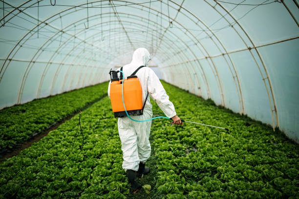Best Pest Prevention Services  in Watertown, WI