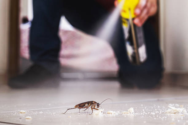 Best Residential Pest Control  in Watertown, WI