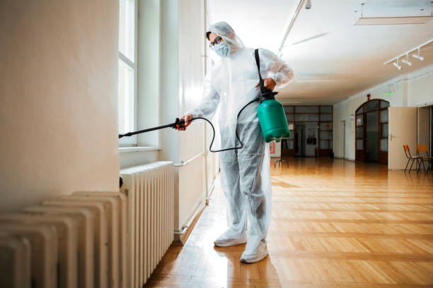 Reliable Watertown, WI Pest Control Solutions